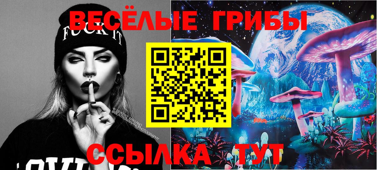Камышин  Псилоцибиновые грибы MAGIC MUSHROOMS  Вход с VPN 