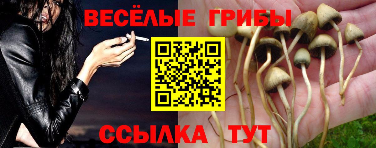 Псилоцибиновые грибы MAGIC MUSHROOMS Камышин